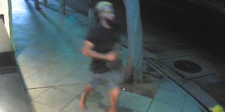 Santa Monica Police Seek Suspect in Early Morning Assault