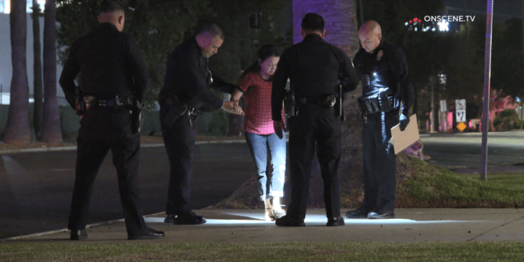 intoxicated woman arrested after tesla crashes during brief police pursuit in los angeles