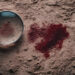Closeup of a detective’s hand holding magnifying glass revealing bloodstain on dirt symbolizing forensic investigation crime scene analysis