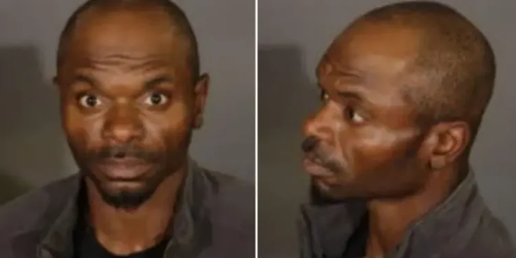 Kenneth Woolfolk is accused of multiple rapes in Los Angeles, photo provided by Los Angeles Police Department