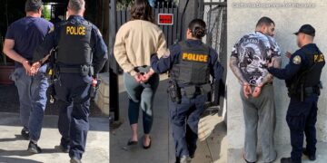 bear-costume-crime-california-department