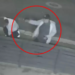 Image shows Justin Arteaga pointing his weapon during a firefight in Gardena. (U.S. Attorney’s Office for the Central District of California)
