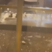 Brazen Smash-and-Grab Targets Waldorf Astoria Jewelry Store Amid Los Angeles Wildfires