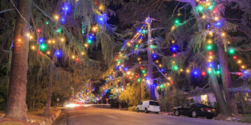 Los Angeles Famous Christmas Tree Lane