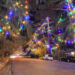 Los Angeles Famous Christmas Tree Lane