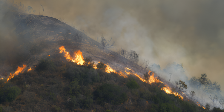 Malibu California fire Burnt Mountains
