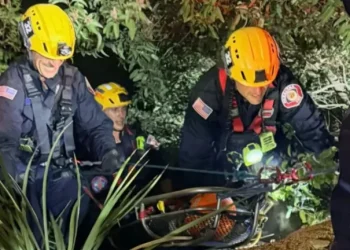 A woman died and three others were seriously injured after a car plunged off Angeles Crest Highway in La Cañada Flintridge.