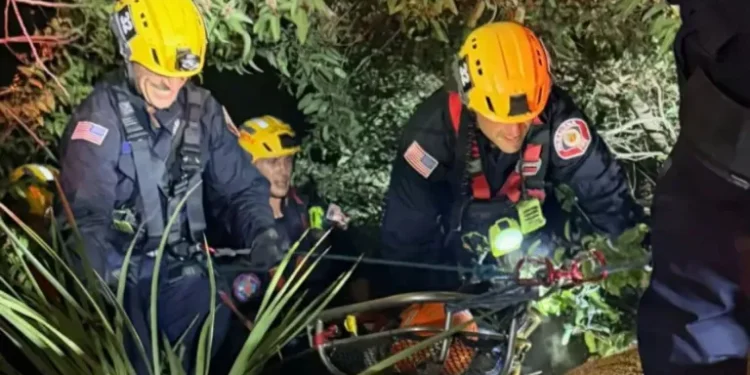 A woman died and three others were seriously injured after a car plunged off Angeles Crest Highway in La Cañada Flintridge.