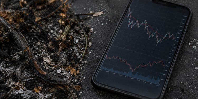 Close-up of charred vegetation and ash beside a smartphone displaying generic market-style lines.