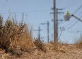 Close-up of dry roadside brush under intense heat, with blurred utility lines and a distant worker inspecting equipment in the background.