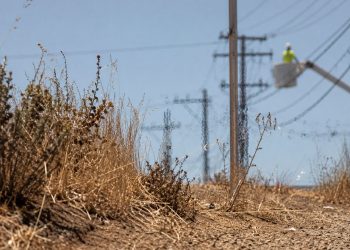 Close-up of dry roadside brush under intense heat, with blurred utility lines and a distant worker inspecting equipment in the background.