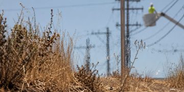 Close-up of dry roadside brush under intense heat, with blurred utility lines and a distant worker inspecting equipment in the background.