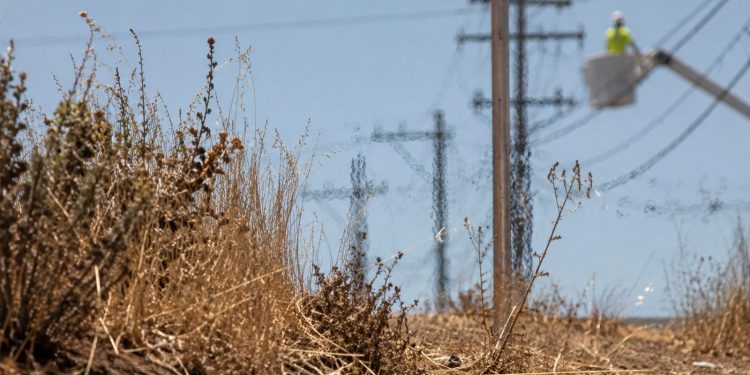 Close-up of dry roadside brush under intense heat, with blurred utility lines and a distant worker inspecting equipment in the background.