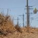 Close-up of dry roadside brush under intense heat, with blurred utility lines and a distant worker inspecting equipment in the background.