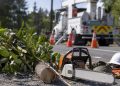 Close-up of tree-trimming equipment and cut branches beside a utility work area.