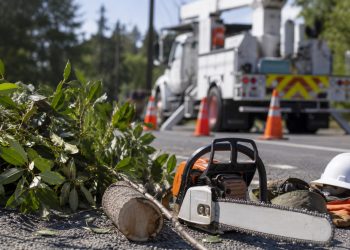 Close-up of tree-trimming equipment and cut branches beside a utility work area.