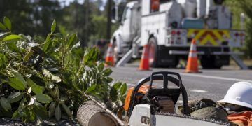 Close-up of tree-trimming equipment and cut branches beside a utility work area.