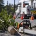 Close-up of tree-trimming equipment and cut branches beside a utility work area.