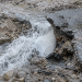 Close-up of water forcefully rushing through broken asphalt and muddy debris, used as an illustrative image for a Hollywood Hills water main break that damaged part of a roadway.
