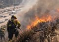 Close-up of a hillside brush fire burning near a freeway, with heavy smoke and firefighters working in the background, illustrating the Getty Fire response in Los Angeles.