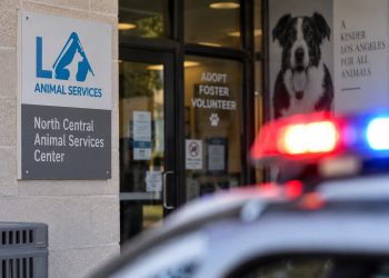 Close-up of an animal shelter entrance with a blurred emergency light in the background, illustrating security concerns after a reported violent attack.