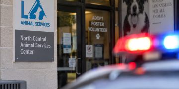 Close-up of an animal shelter entrance with a blurred emergency light in the background, illustrating security concerns after a reported violent attack.