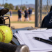 Close-up of softball equipment and financial records on a table, with a blurred youth baseball field in the background, illustrating an embezzlement investigation.