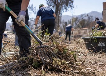 Close-up of volunteers clearing dry brush from a vacant Altadena lot, with gardening tools and green waste in the foreground, illustrating Eaton Fire recovery efforts.