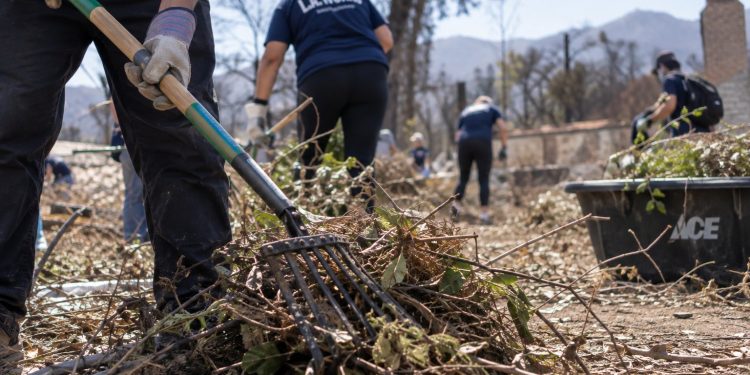 Close-up of volunteers clearing dry brush from a vacant Altadena lot, with gardening tools and green waste in the foreground, illustrating Eaton Fire recovery efforts.