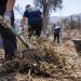 Close-up of volunteers clearing dry brush from a vacant Altadena lot, with gardening tools and green waste in the foreground, illustrating Eaton Fire recovery efforts.