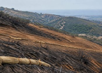 Burned hillside above San Juan Capistrano with a graded dozer line and rows of straw wattles staked across exposed soil in neutral daylight.