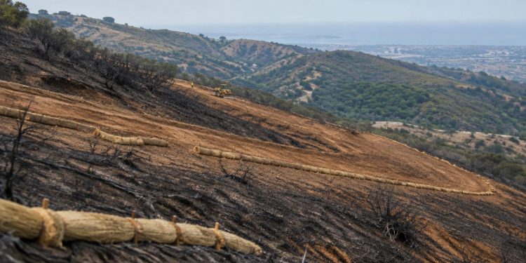 Burned hillside above San Juan Capistrano with a graded dozer line and rows of straw wattles staked across exposed soil in neutral daylight.