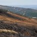 Burned hillside above San Juan Capistrano with a graded dozer line and rows of straw wattles staked across exposed soil in neutral daylight.