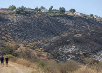 Charred hillside of dry chaparral and grass in a West Covina hillside park above suburban homes, photographed in neutral daylight.
