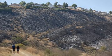 Charred hillside of dry chaparral and grass in a West Covina hillside park above suburban homes, photographed in neutral daylight.