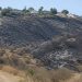 Charred hillside of dry chaparral and grass in a West Covina hillside park above suburban homes, photographed in neutral daylight.