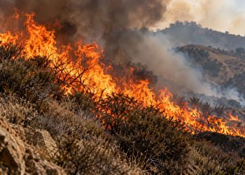 Close-up of a wildfire burning through dry brush in the Angeles National Forest, with flames and smoke rising over rugged terrain near Santa Clarita.