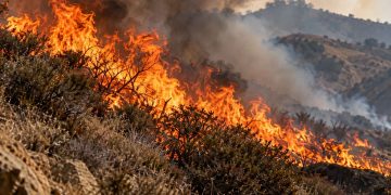 Close-up of a wildfire burning through dry brush in the Angeles National Forest, with flames and smoke rising over rugged terrain near Santa Clarita.