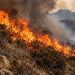 Close-up of a wildfire burning through dry brush in the Angeles National Forest, with flames and smoke rising over rugged terrain near Santa Clarita.
