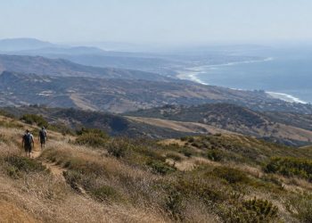 Dry golden chaparral and brittle grass on a Santa Monica Mountains hillside in afternoon daylight, leaning in the wind above the Malibu coastline.