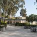 Empty courtyard of a hillside school campus in Brentwood with low stucco buildings, a covered walkway and eucalyptus trees in afternoon daylight.