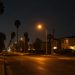 Empty residential street of single-story stucco homes and palm trees in Florence-Graham at night under street lamps, seen with a long lens.