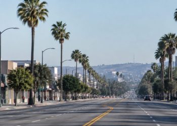 Long-lens view down Crenshaw Boulevard in South Los Angeles, with low-rise storefronts and palm trees lining an empty street in afternoon daylight.