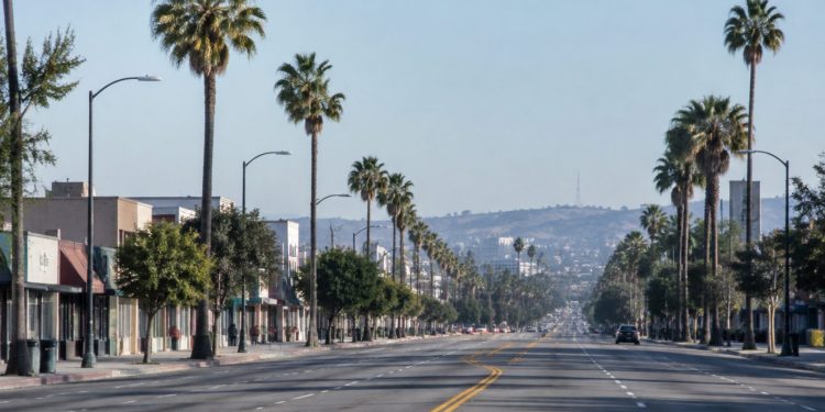Long-lens view down Crenshaw Boulevard in South Los Angeles, with low-rise storefronts and palm trees lining an empty street in afternoon daylight.