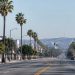 Long-lens view down Crenshaw Boulevard in South Los Angeles, with low-rise storefronts and palm trees lining an empty street in afternoon daylight.