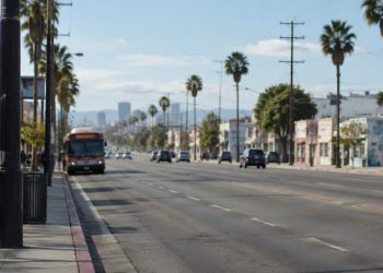 Long-lens view down Vermont Avenue in South Los Angeles in morning daylight, with a city bus in the curb lane and palm trees along the street.