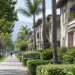 Long-lens view down a residential street of two-story stucco apartment buildings with balconies and palm trees in Arcadia in neutral daylight.