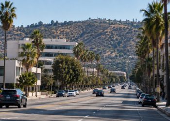Long-lens view down a wide Baldwin Hills boulevard lined with palm trees and low-rise office buildings in afternoon daylight.