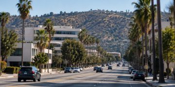 Long-lens view down a wide Baldwin Hills boulevard lined with palm trees and low-rise office buildings in afternoon daylight.