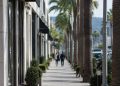 Long-lens view of a palm-lined commercial street of low-rise shops in West Hollywood in neutral daylight, with pedestrians softly blurred.
